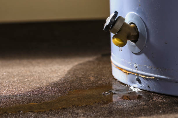 Best Basement water damage restoration  in Occoquan, VA