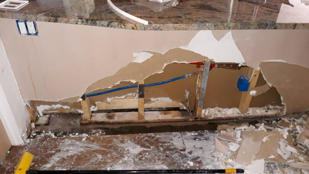 Best Professional water damage repair  in Occoquan, VA