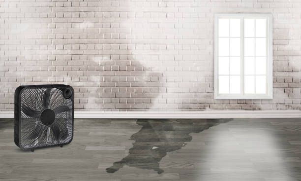 Best Emergency water damage restoration  in Occoquan, VA