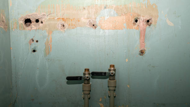 Best Flood damage cleanup  in Occoquan, VA