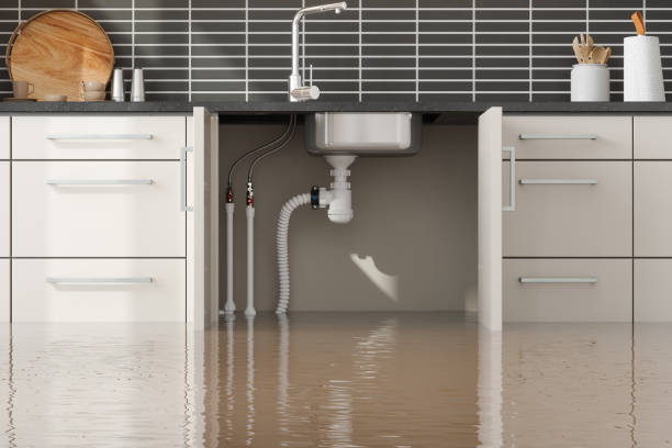 Best Local water damage restoration  in Occoquan, VA