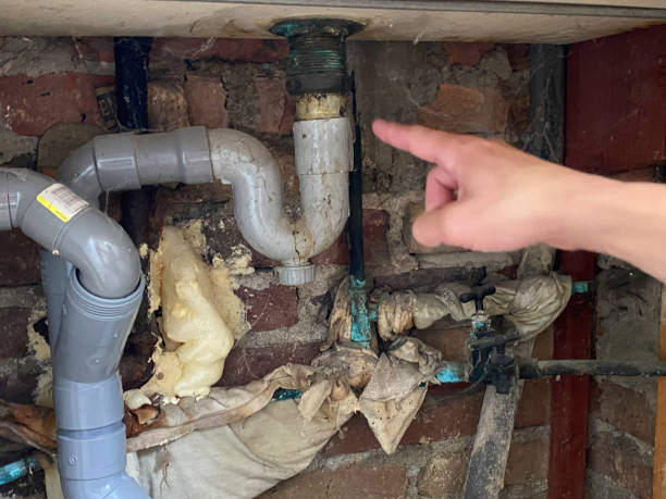 Best Mold removal after water damage  in Occoquan, VA